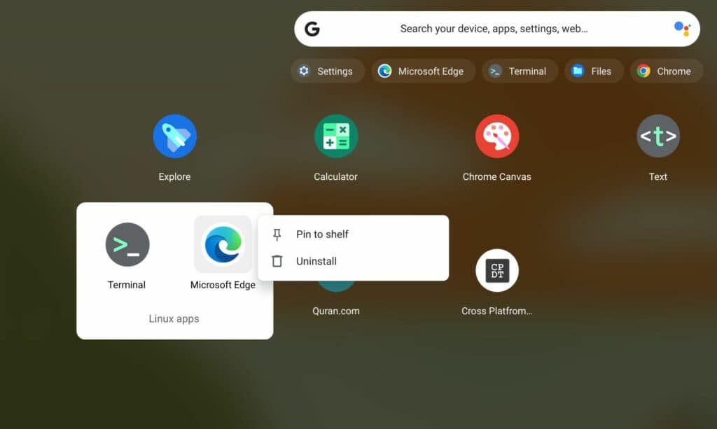 Copot Microsoft edge - Instal Edge di Chromebook